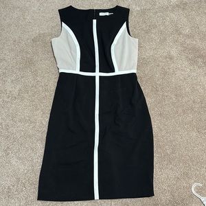 Calvin Klein Modern Dress